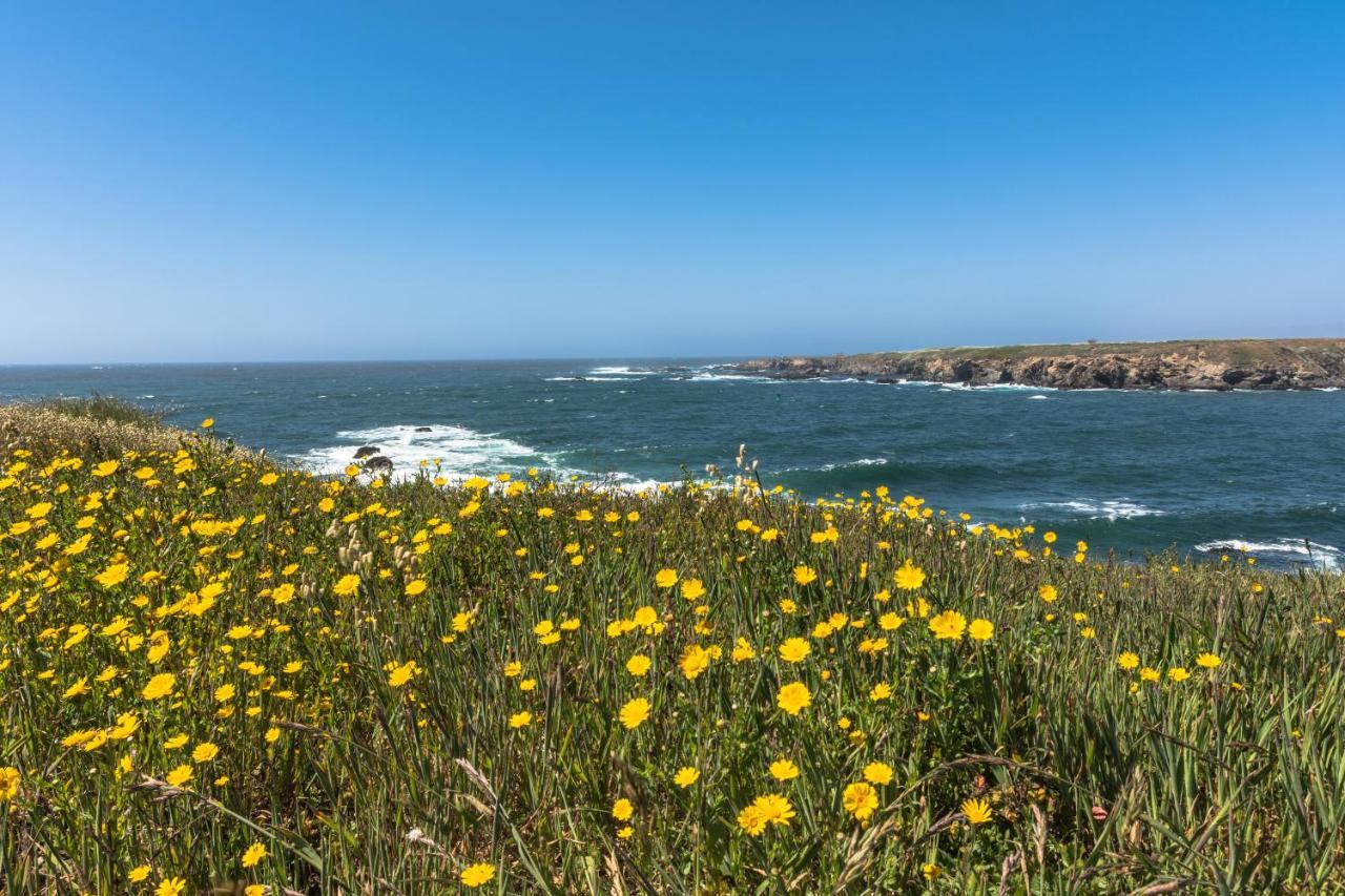 Studio 9 Glass Beach Fort Bragg Exteriér fotografie