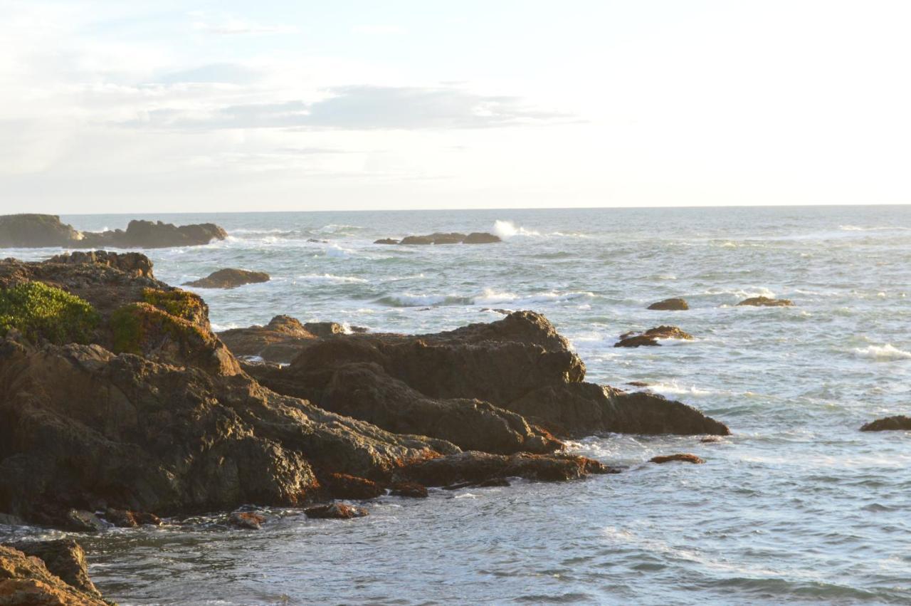 Studio 9 Glass Beach Fort Bragg Exteriér fotografie